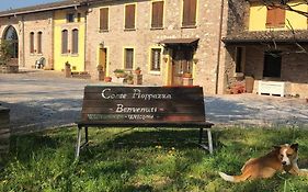 Corte Pioppazza